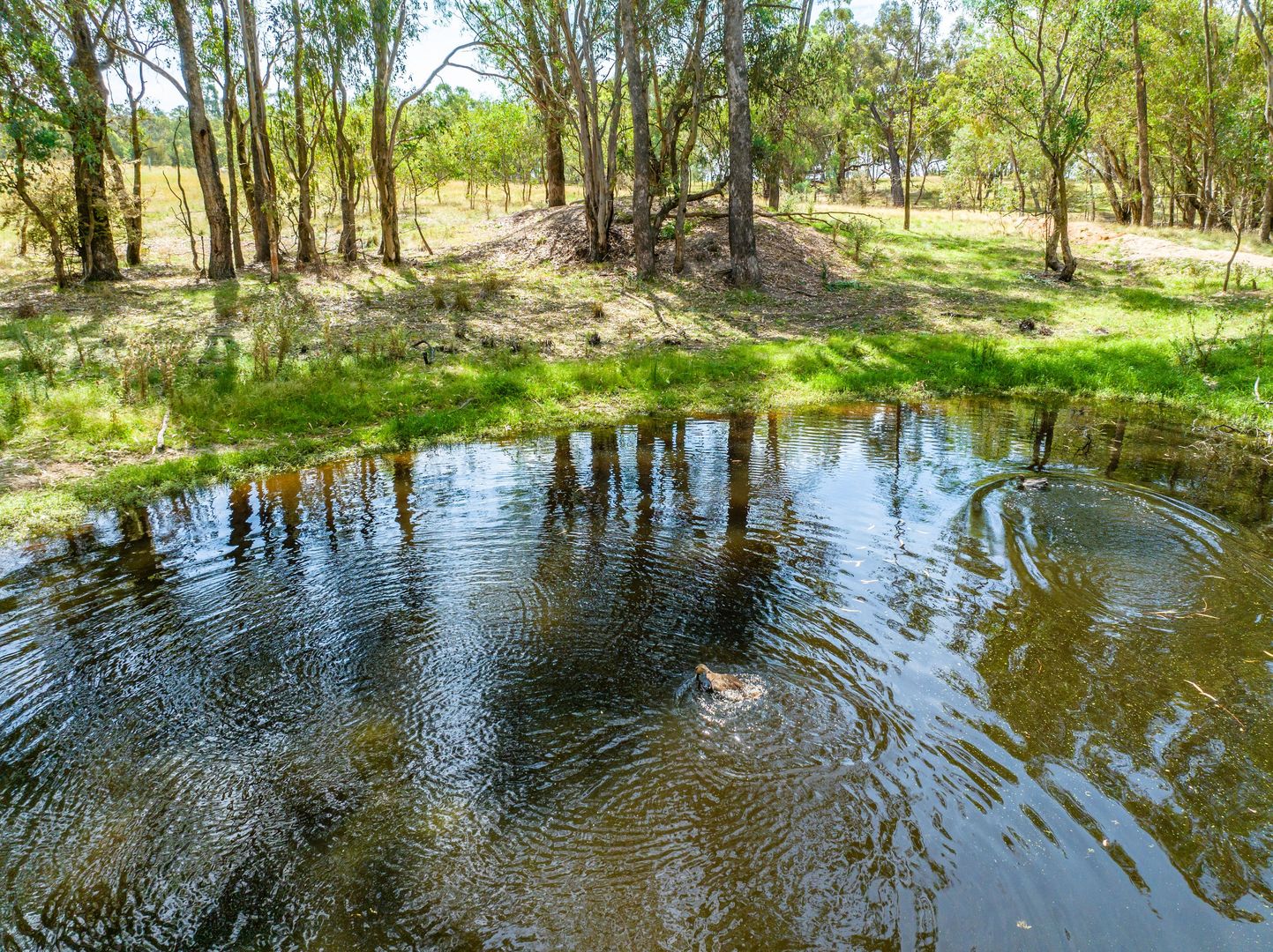 Prescot Street, Lyndhurst NSW 2797, Image 2