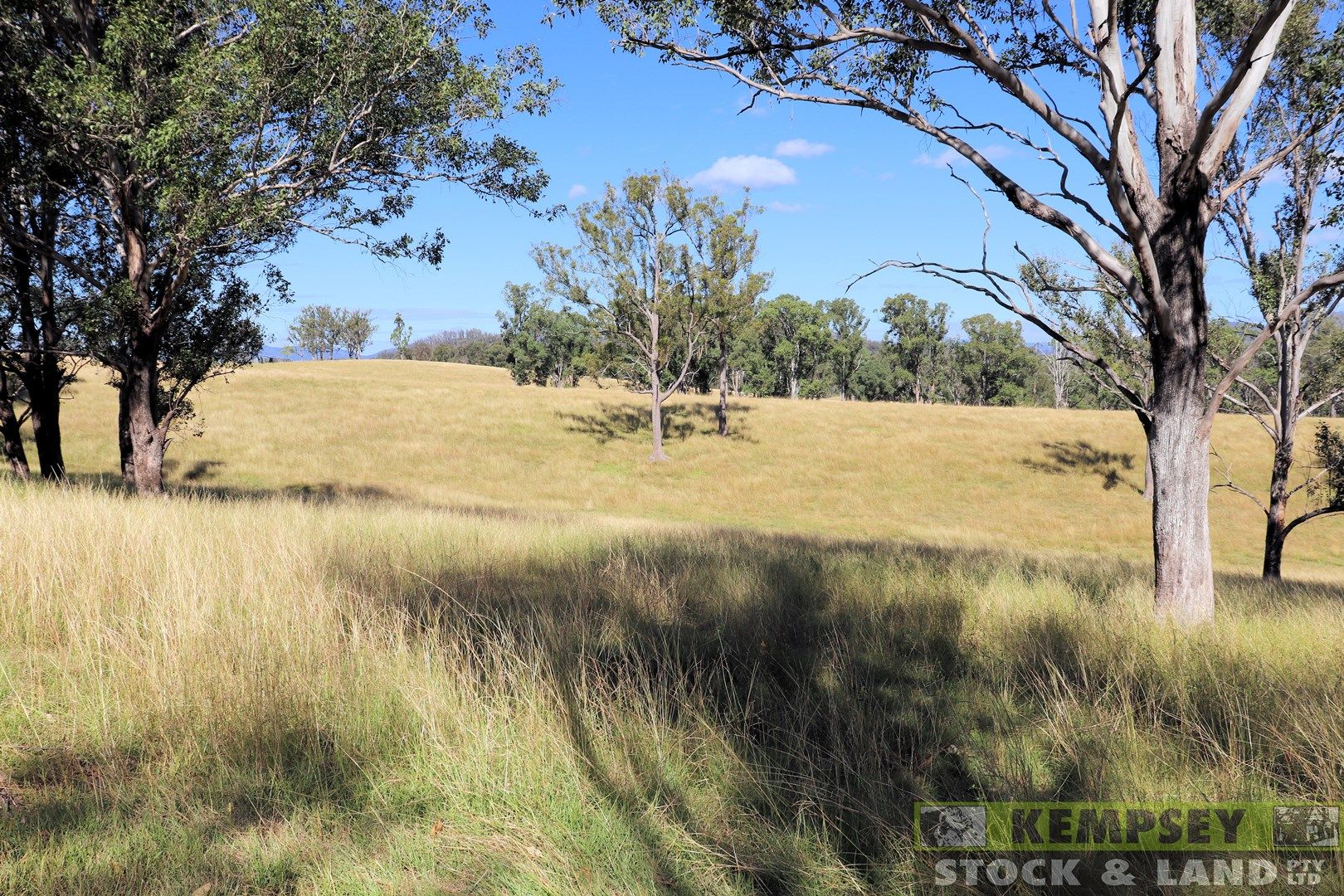 800 Toms Gully Road, Hickeys Creek NSW 2440, Image 0