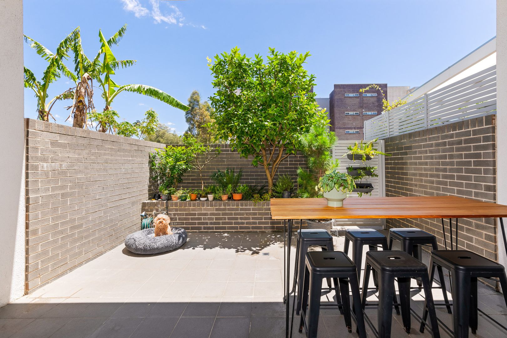 7/4 Broughton Street, Canterbury Property History & Address Research