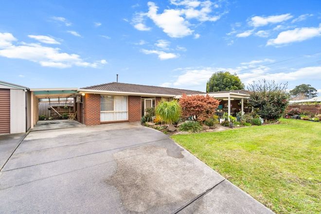 Picture of 38 Morgan Drive, TRARALGON VIC 3844