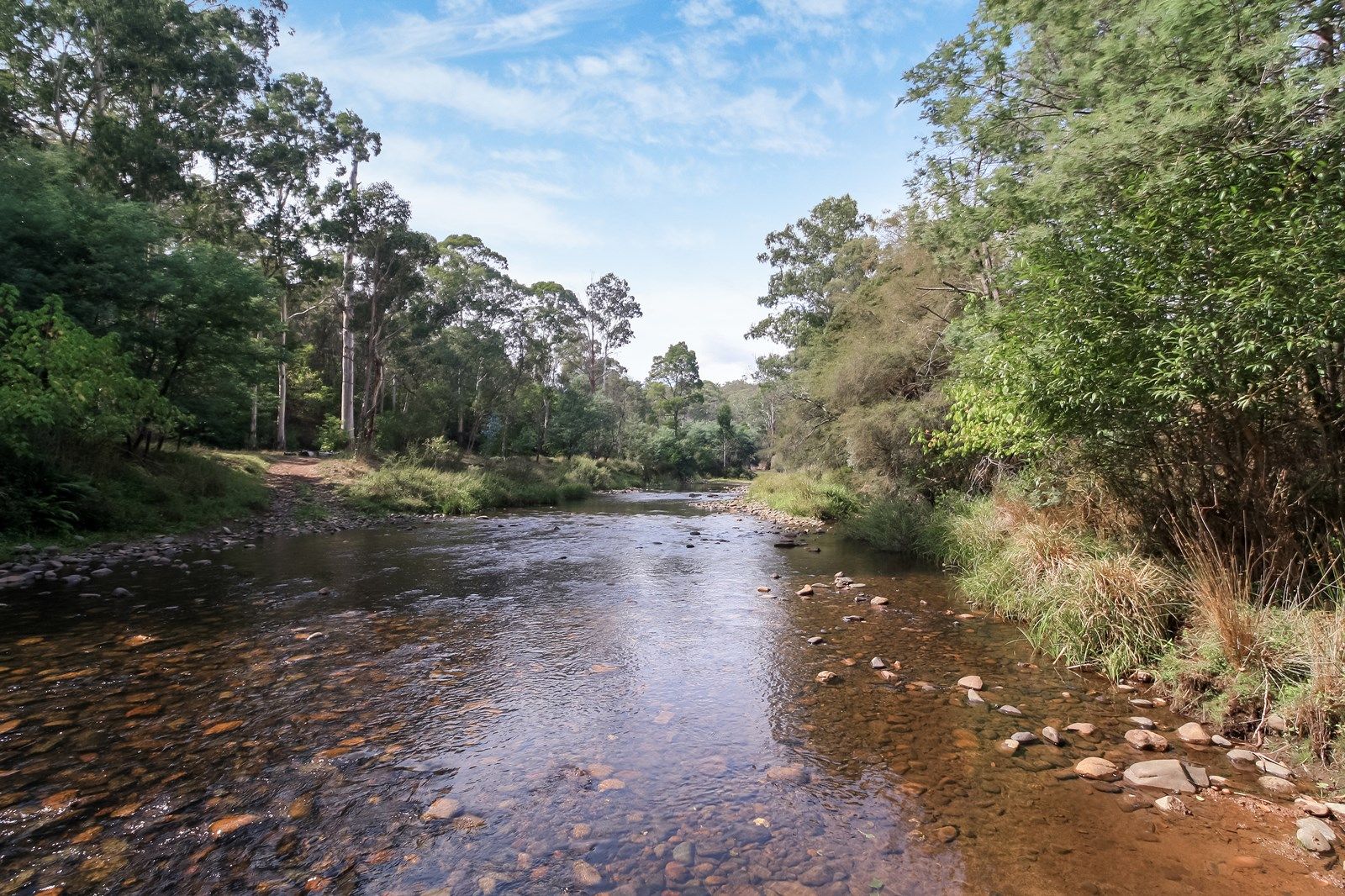 549 Howqua River Road, Howqua VIC 3723, Image 1