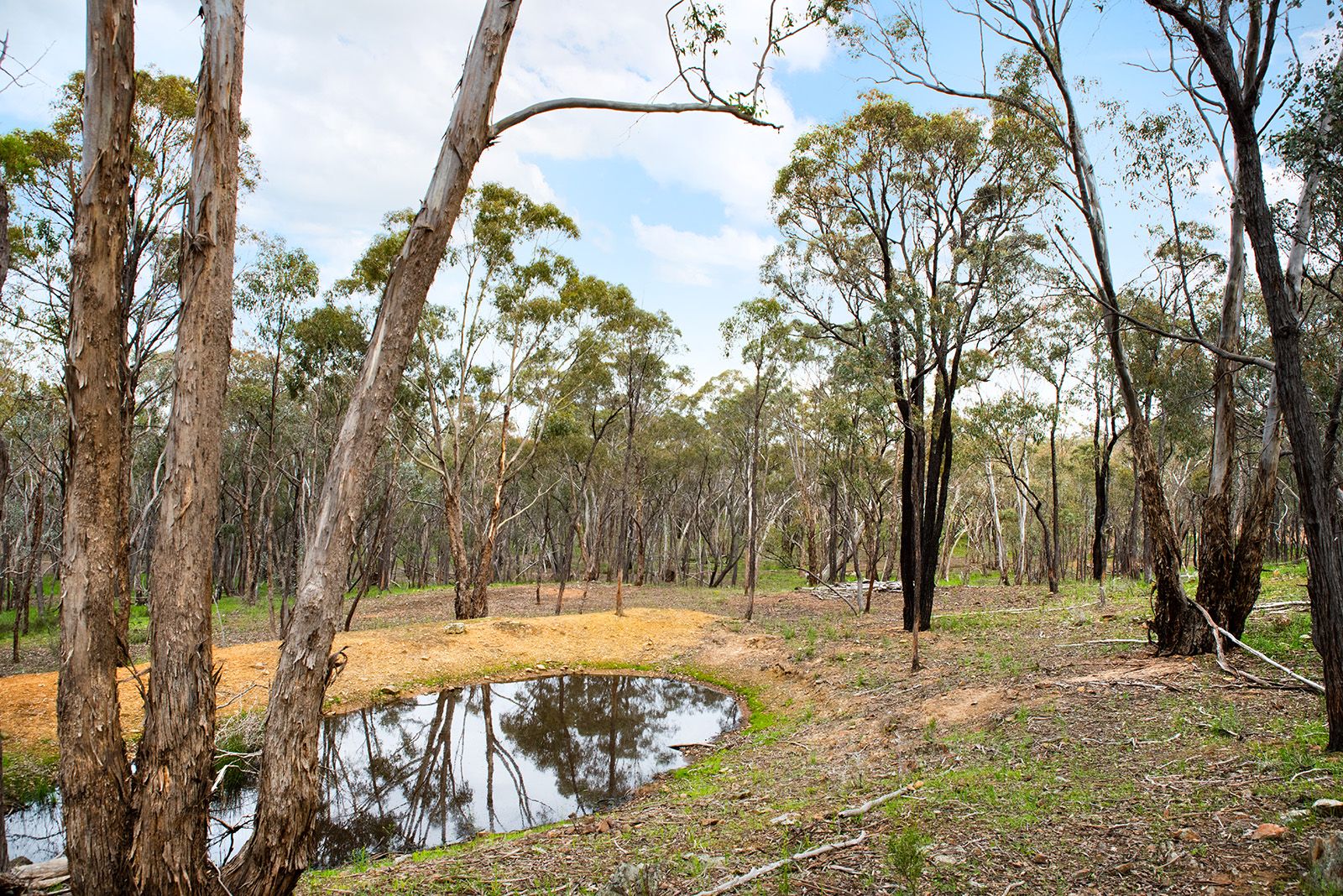 Lot 11 Hargreaves Road, Emu Creek VIC 3551, Image 2