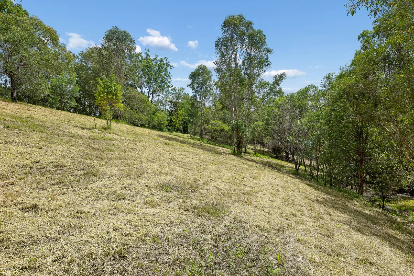 Additional image 23 of 858 Clear Mountain Road, Cashmere QLD 4500