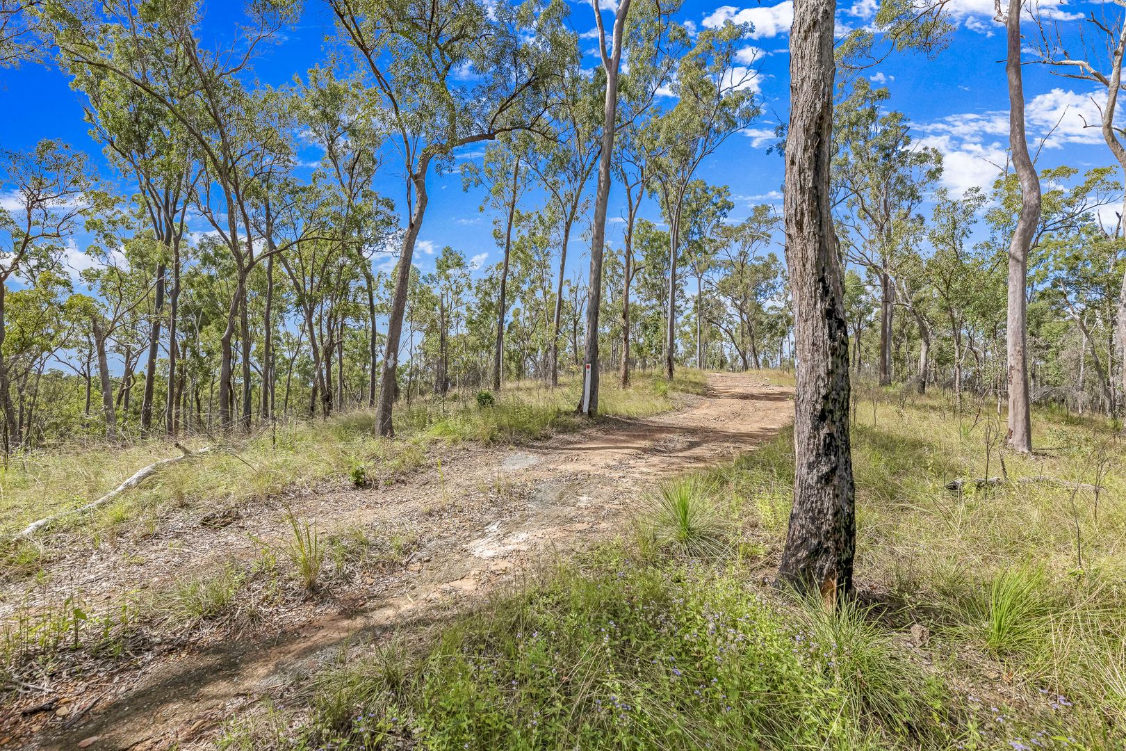 151 Findlay Road, Duingal QLD 4671, Image 2