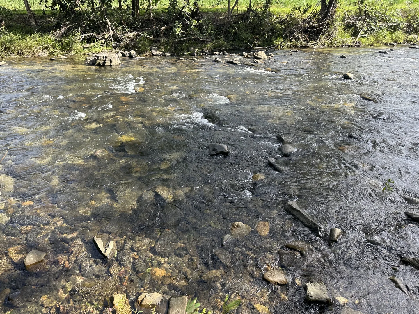 Image 28