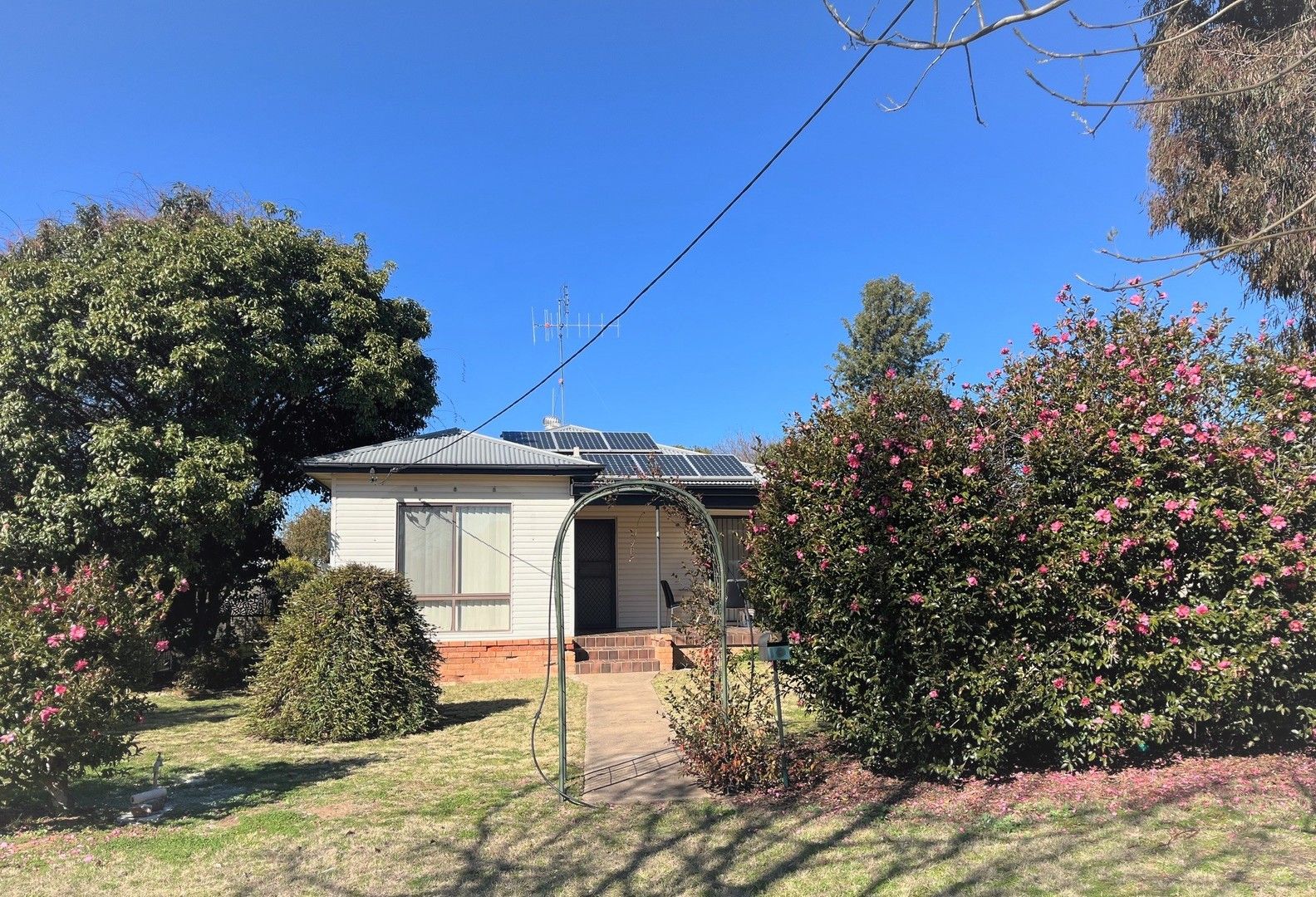 10 Cassilis Street, Coonabarabran NSW 2357, Image 0