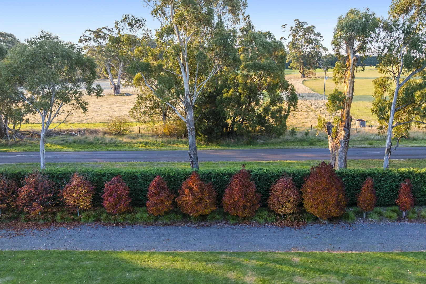 Image 9