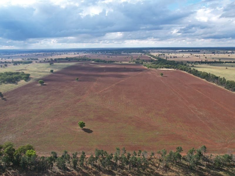 Tullamore NSW 2874, Image 2