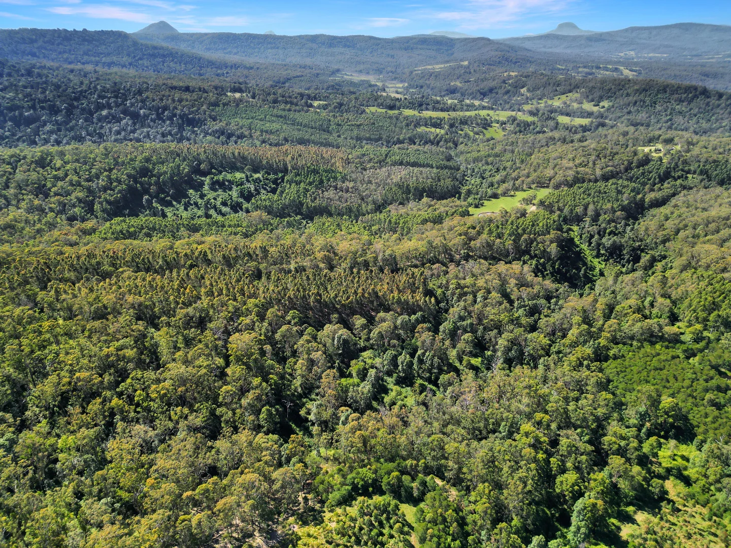 Additional image 13 of Lot 40 Joes Box Road, Yabbra NSW 2469