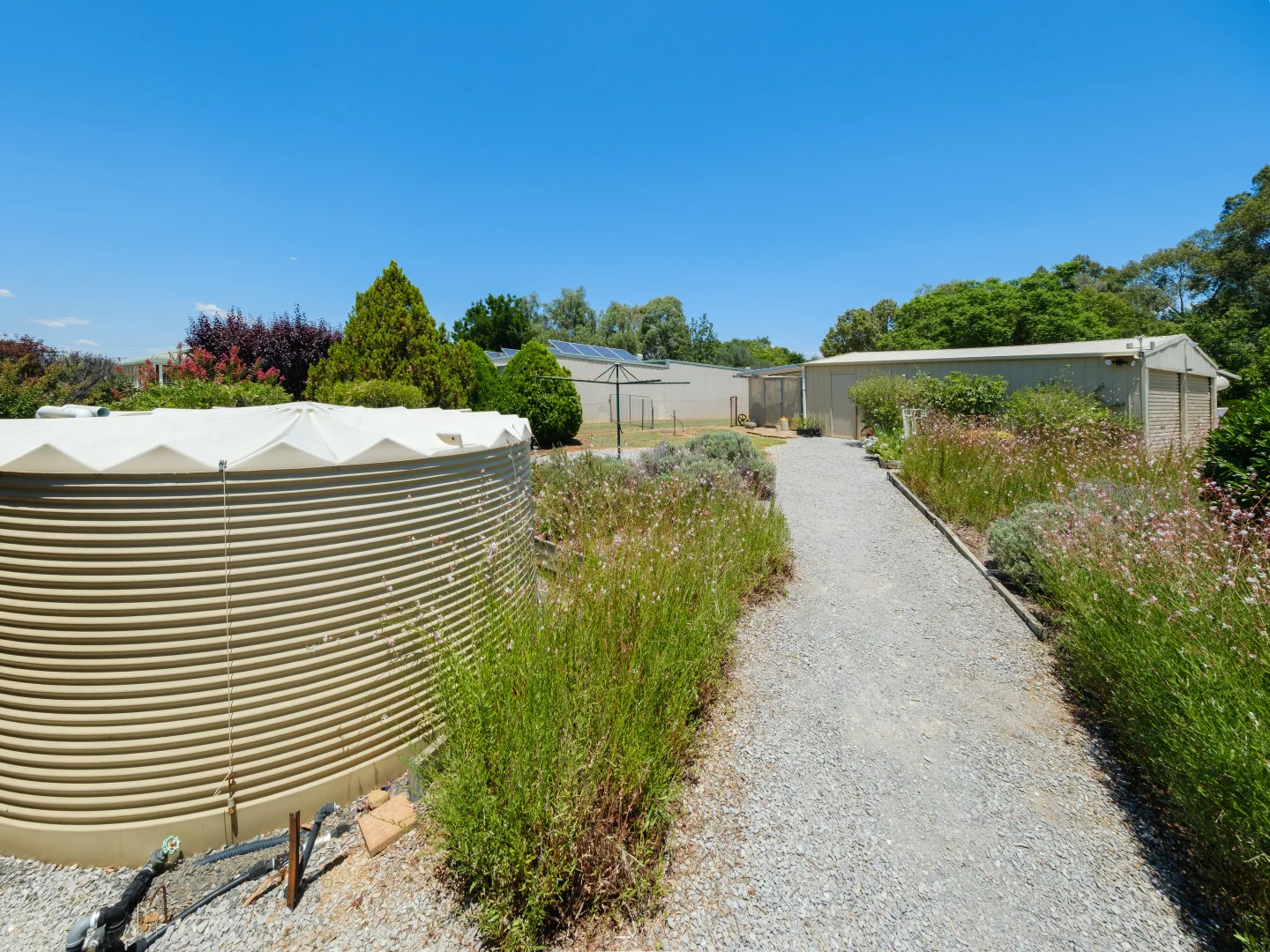 Image 20
