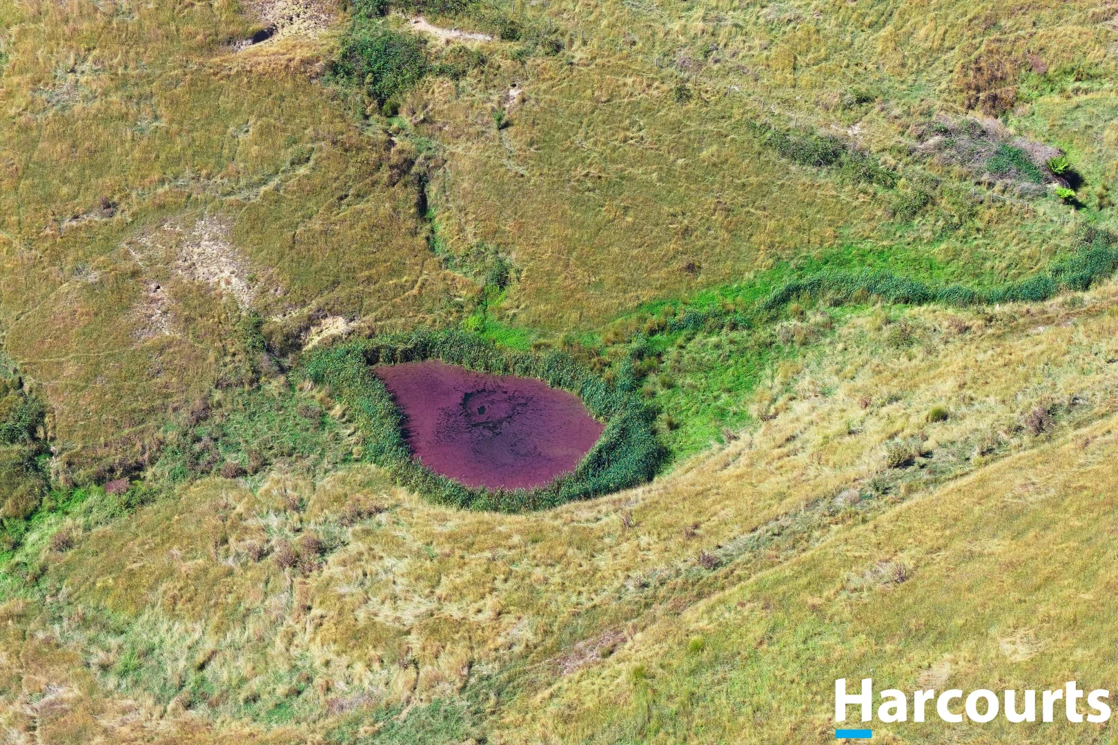 Additional image 26 of 8 Stubbers Lane, Mirboo North VIC 3871