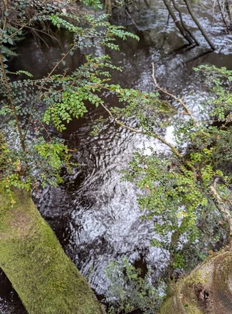 Image 16
