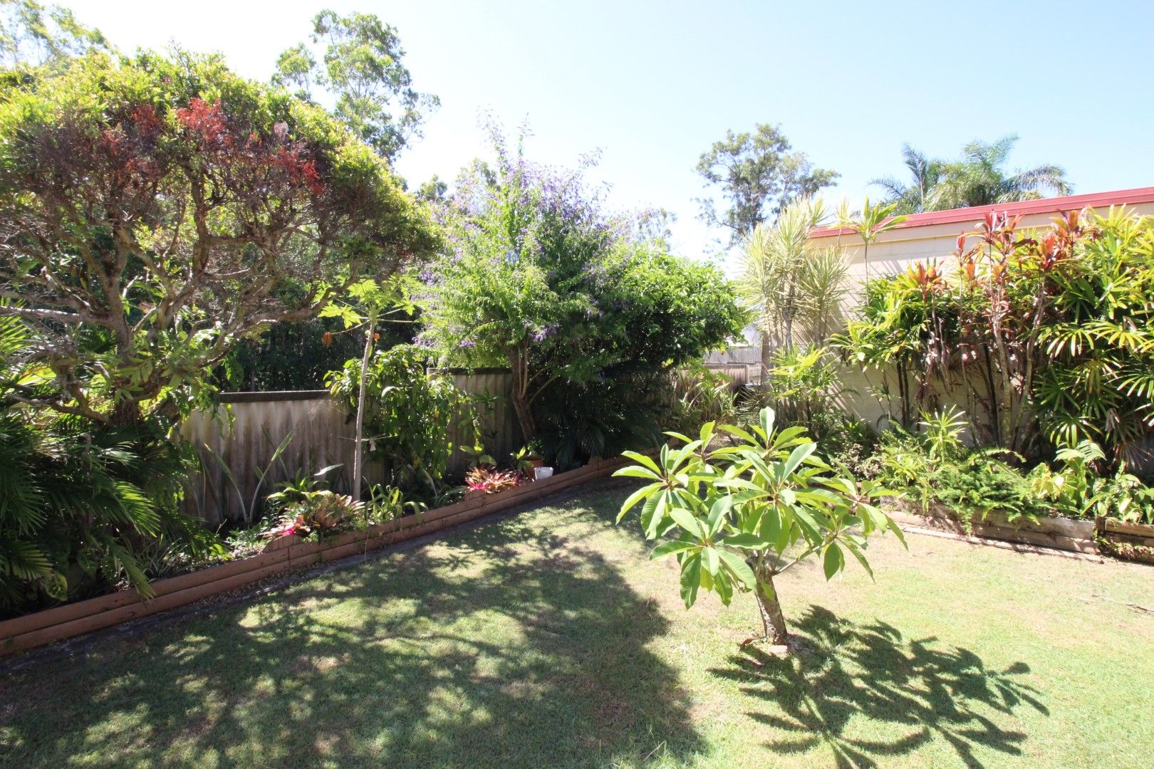 6 Teranna Street, Battery Hill QLD 4551, Image 2