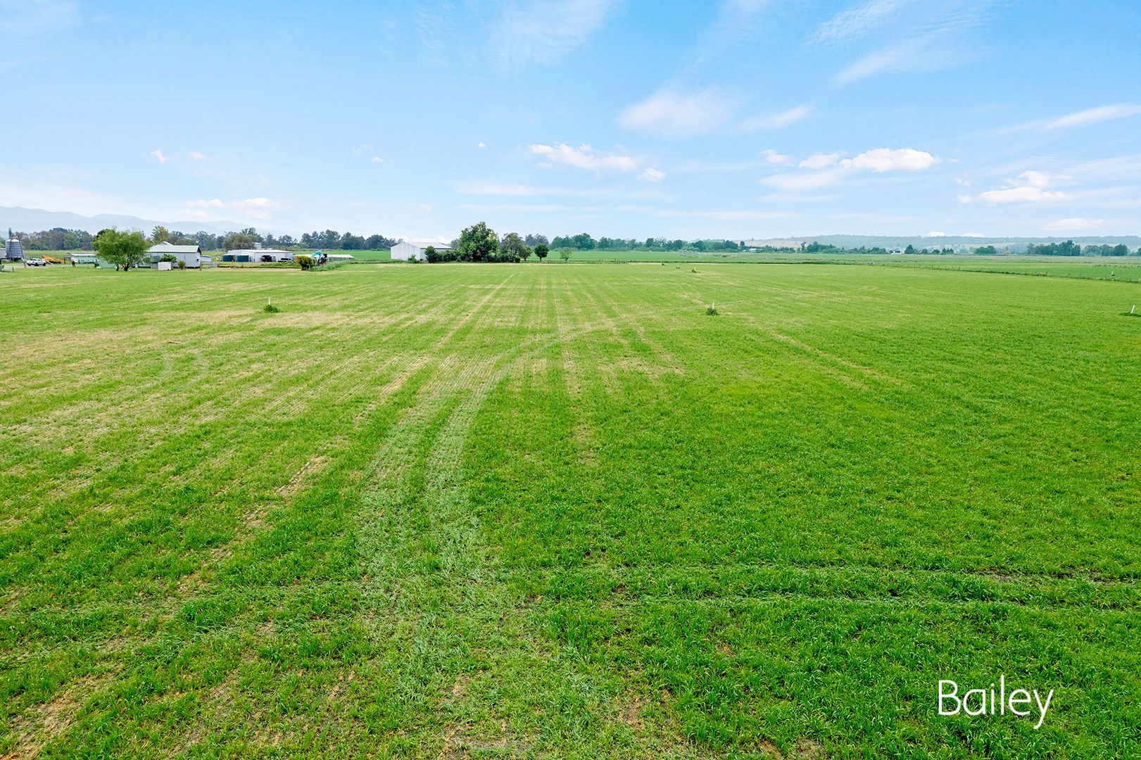 64A Kanoona Lane, Singleton NSW 2330 House for Sale Domain