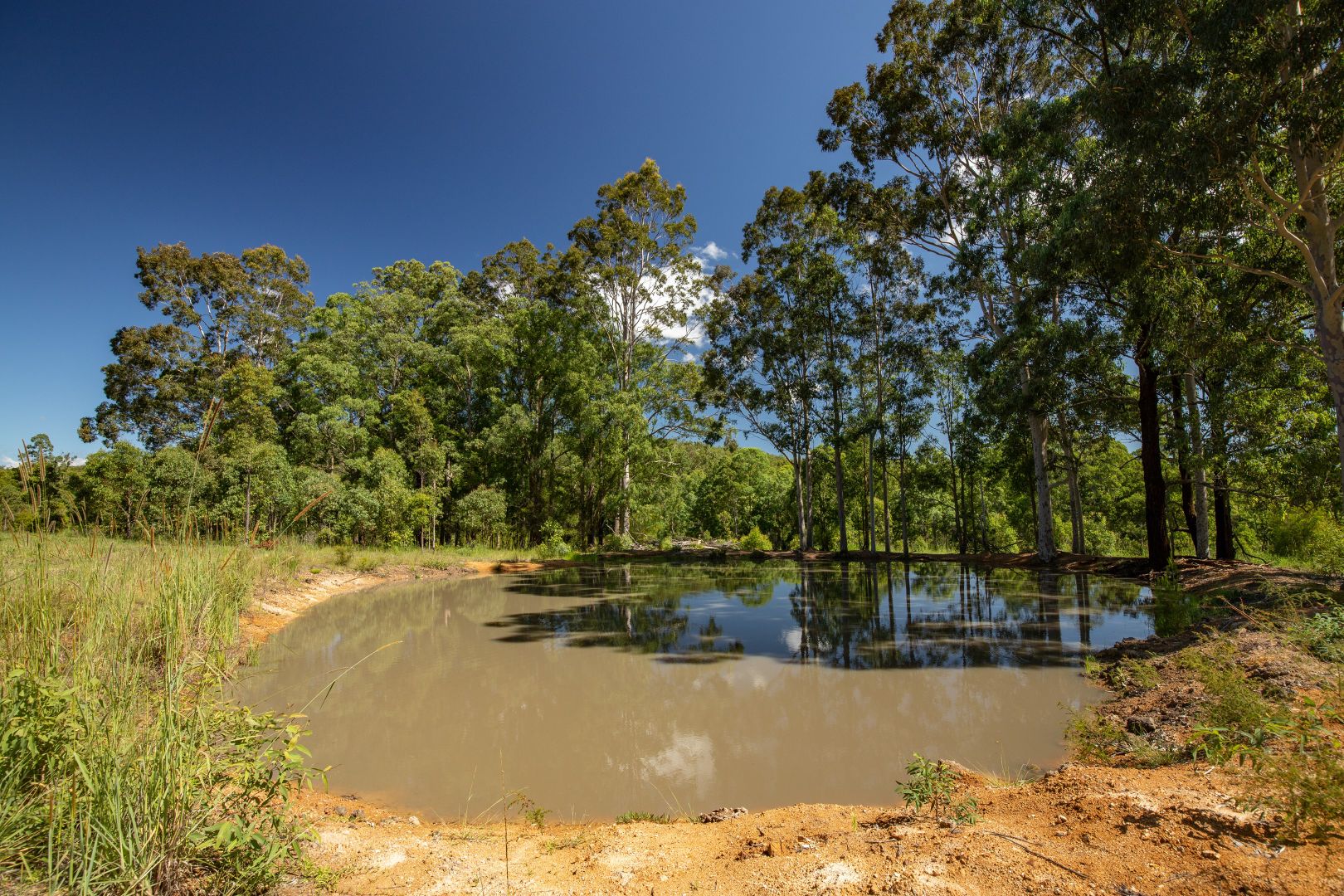 Lot 1 Prices Creek Road, Gloucester NSW 2422, Image 2