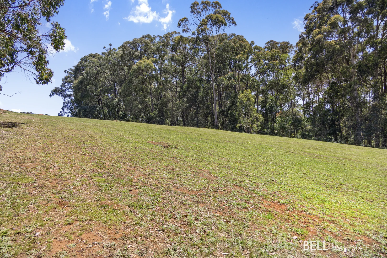 Additional image 25 of 795 Gembrook-Launching Place Road, Hoddles Creek VIC 3139