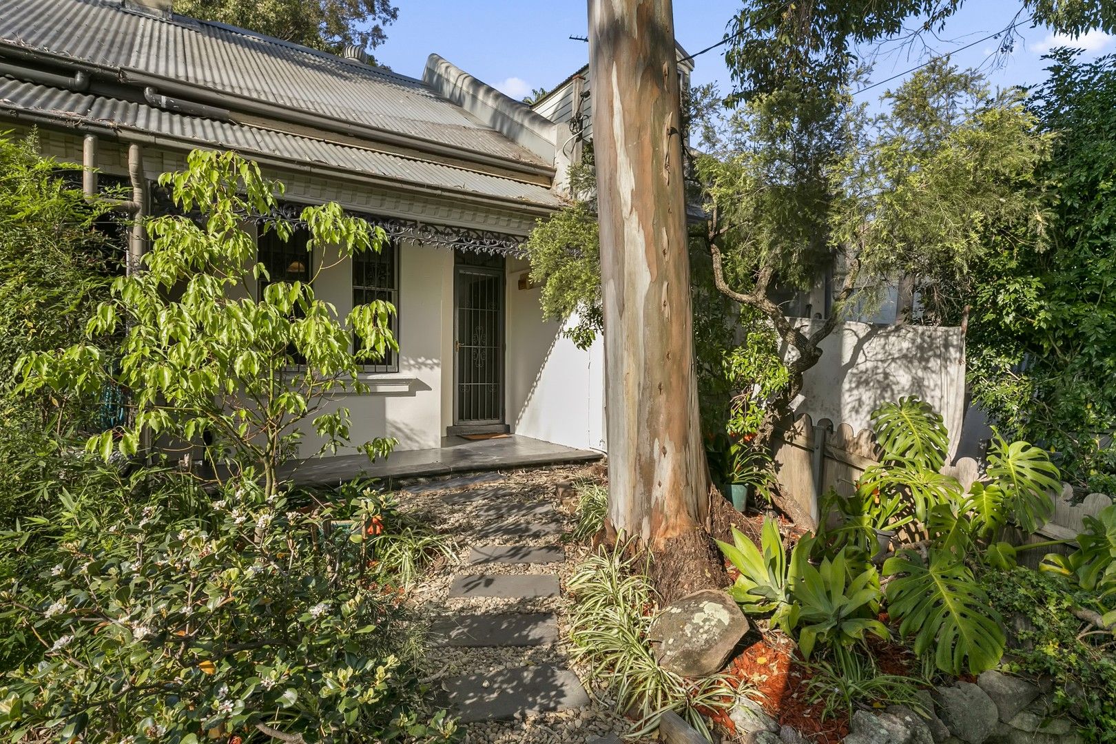 3 bedrooms House in 41 Ross Street FOREST LODGE NSW, 2037