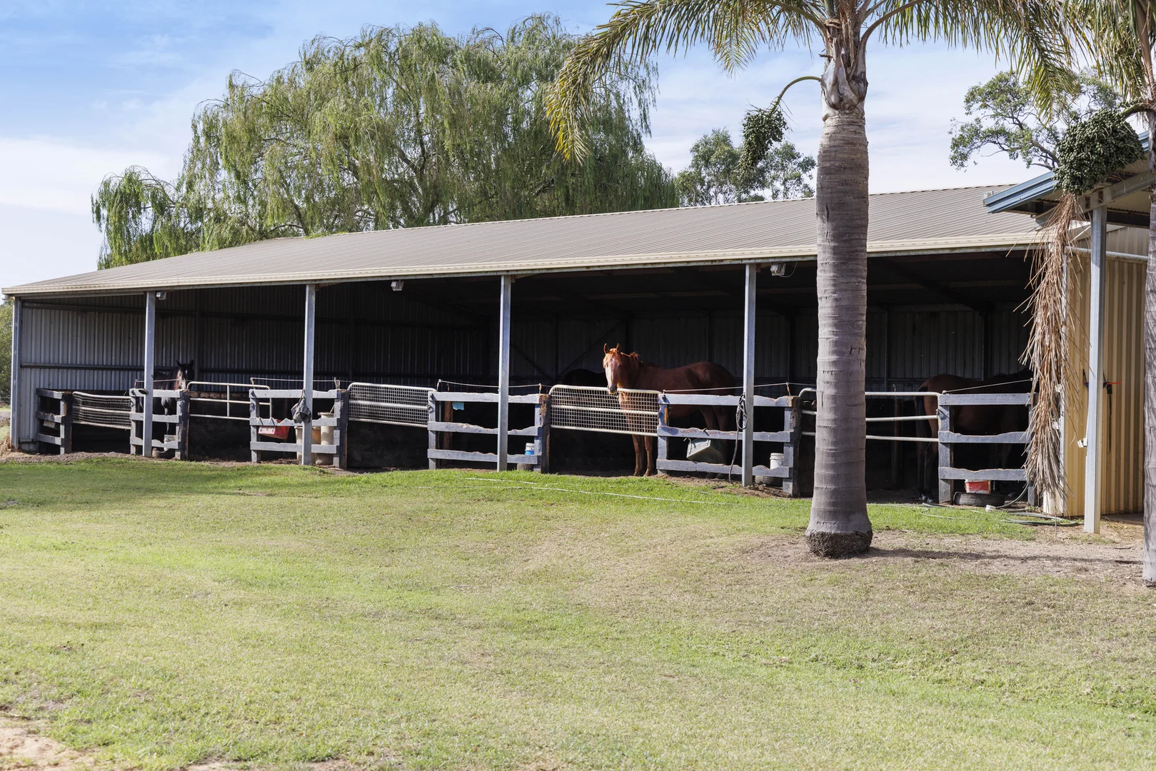 Additional image 17 of 1266 Stumpy Gully Road, Moorooduc VIC 3933