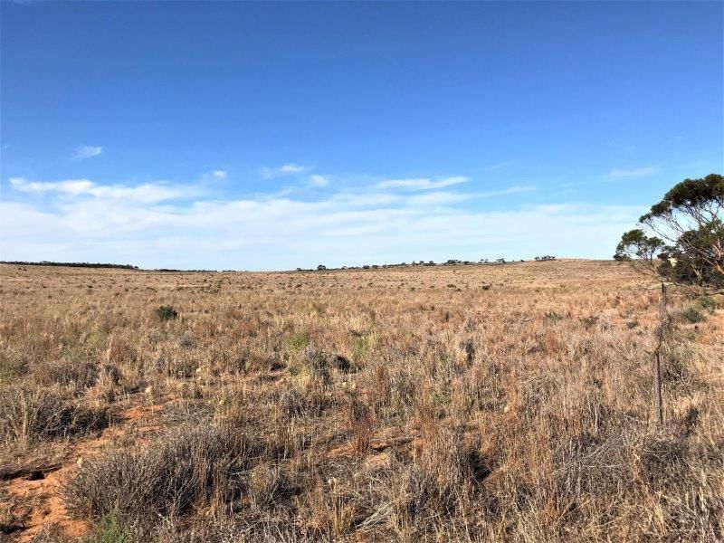 Lot 4 Hundred Line Road, Copeville SA 5308, Image 1