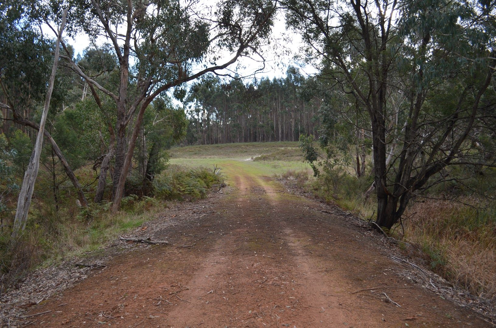 Lot 21 & 23 Casterton-Edenhope Road, Edenhope VIC 3318, Image 0