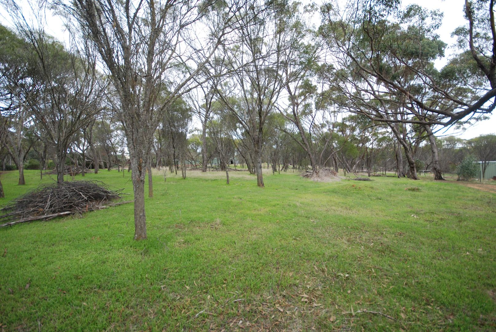 Lot 136 Brundell Street, Cuballing WA 6311, Image 1