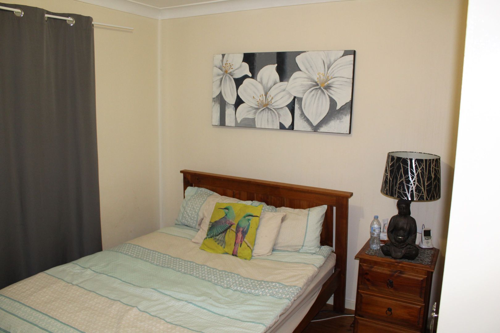 51 Hopedale Ave, Gunnedah NSW 2380 House For Rent 375 Domain