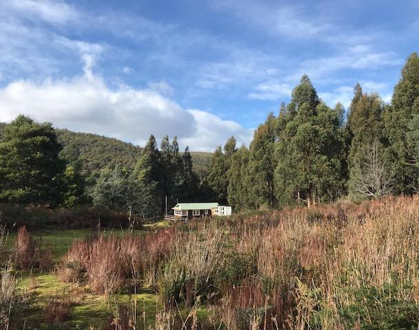 357 Donnellys Road, Geeveston TAS 7116