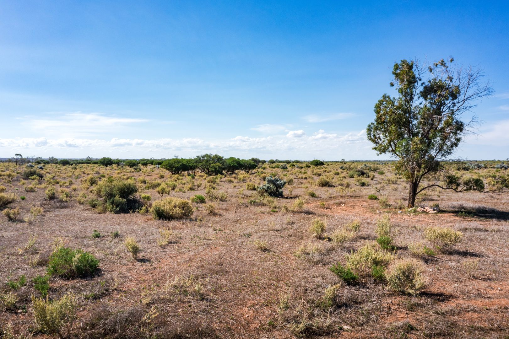 Lot 40 Mckay Road, Blanchetown SA 5357, Image 1