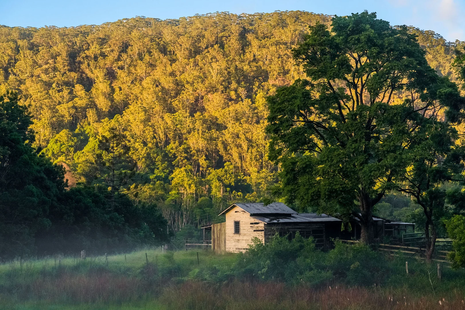 Additional image 19 of 1028 Wilsons Creek Road, Wilsons Creek NSW 2482