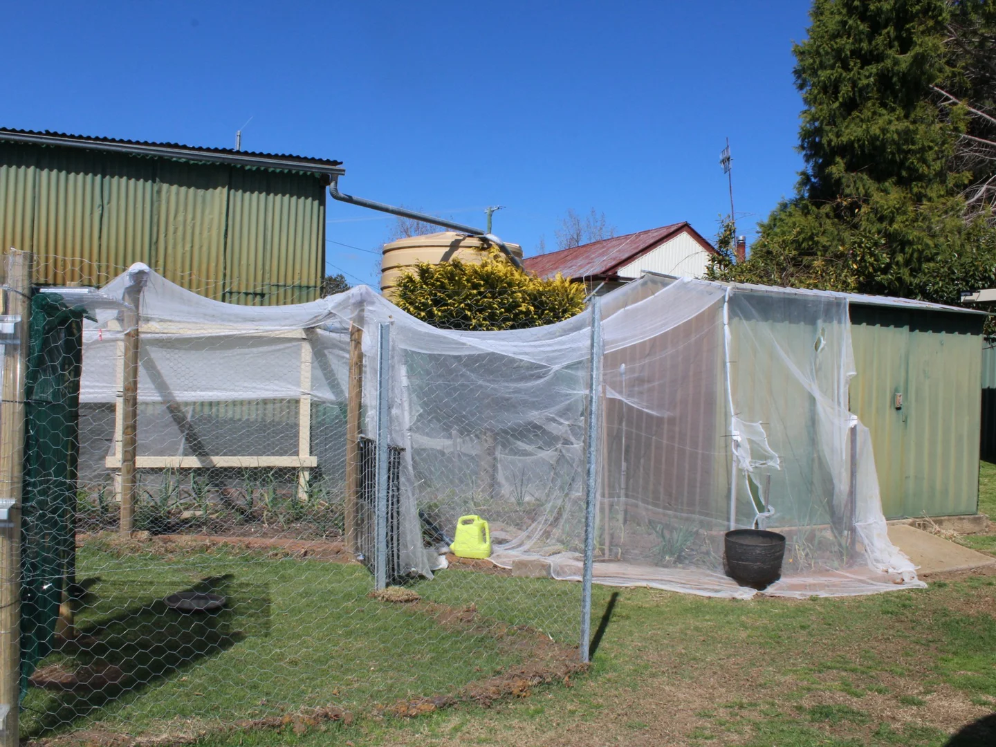 Image 15