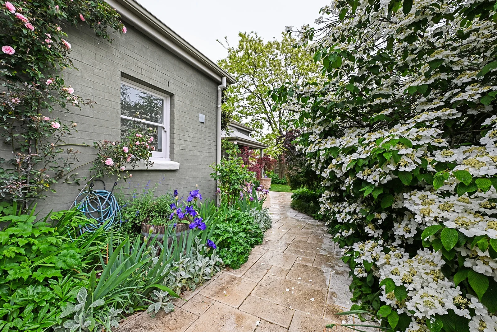 Image 27