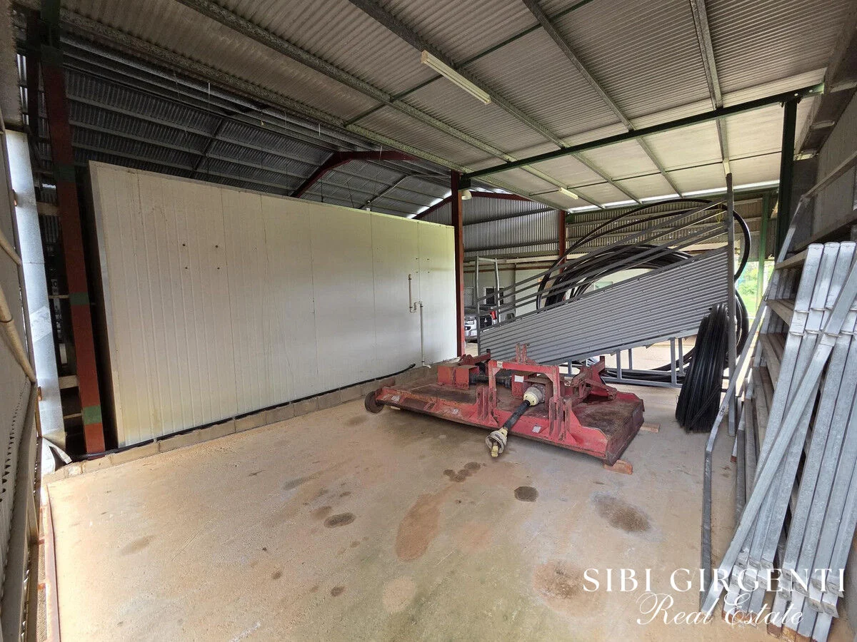 Image 37