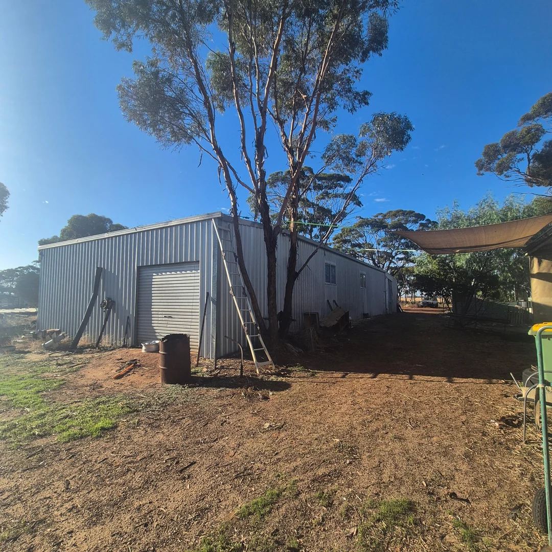 Image 4