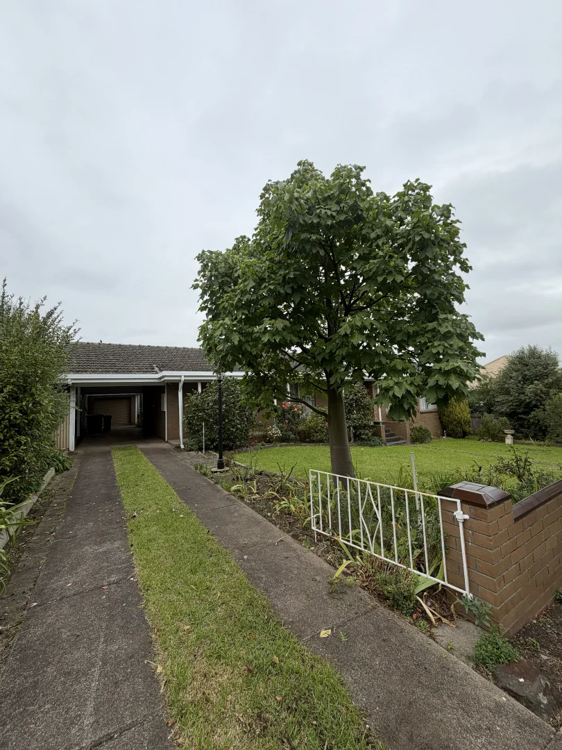 Additional image 2 of 16 Griffin Street, Hamilton VIC 3300