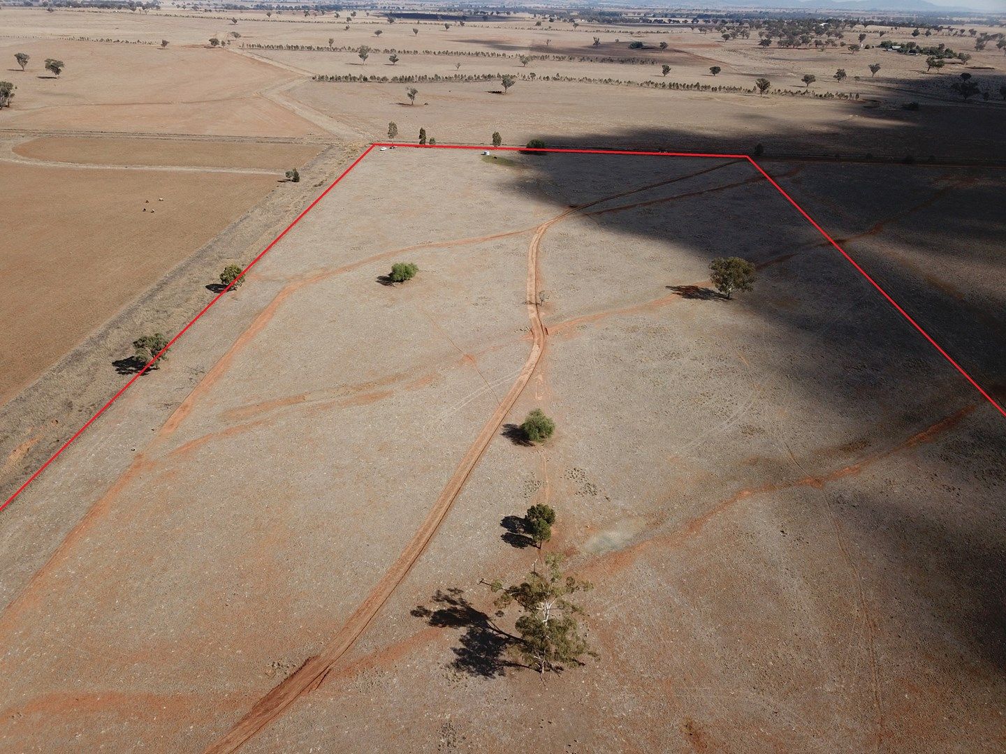 Lot 104 of 63 Phillip Lane, Tamworth NSW 2340, Image 0