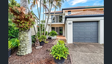 Picture of 60/152 Palm Meadows Drive, CARRARA QLD 4211