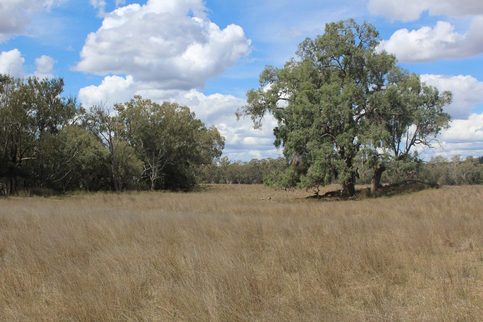 " Berrigal Farm", Bellata NSW 2397, Image 0