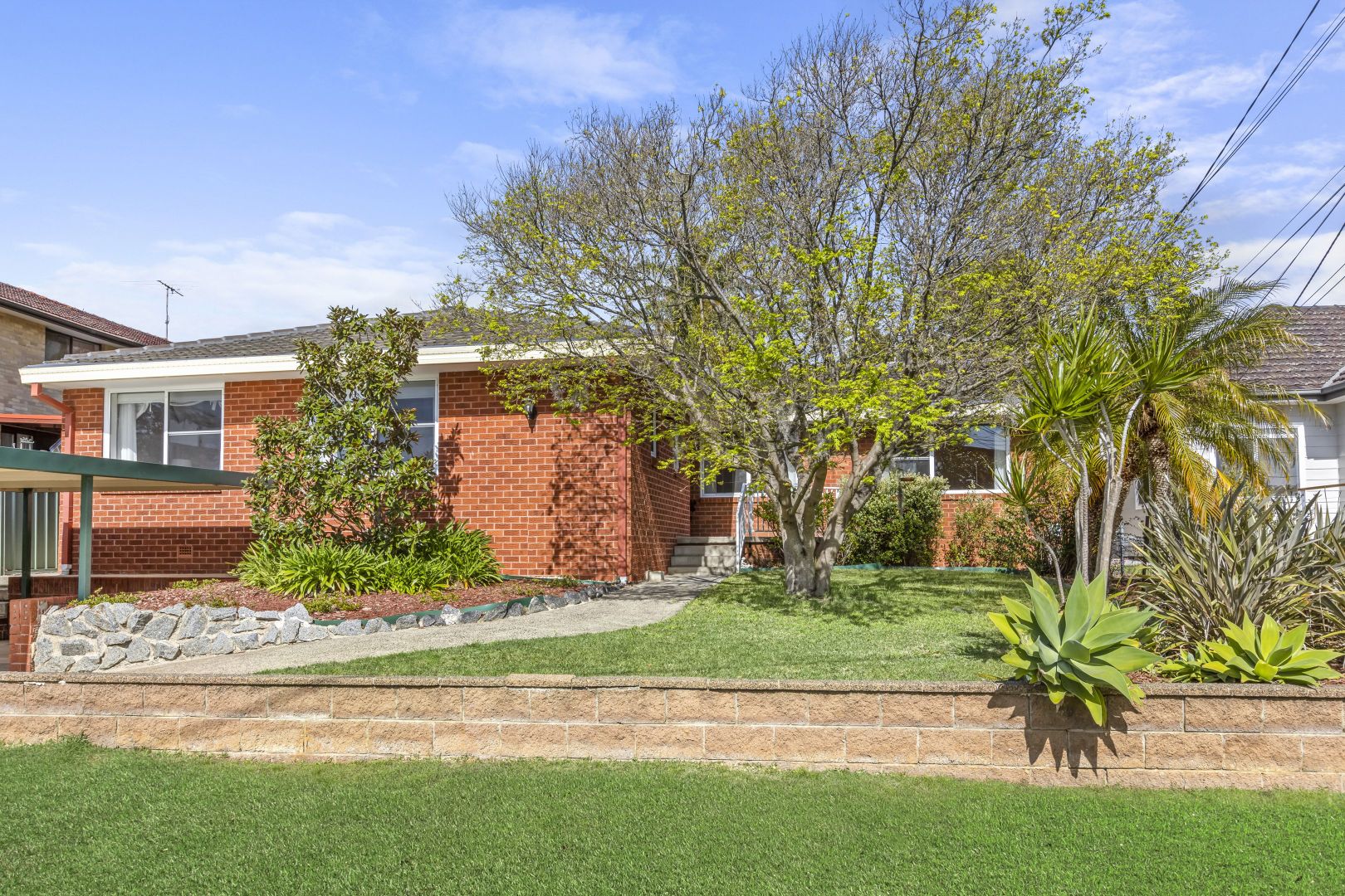 11 Canea Crescent, Allambie Heights NSW 2100