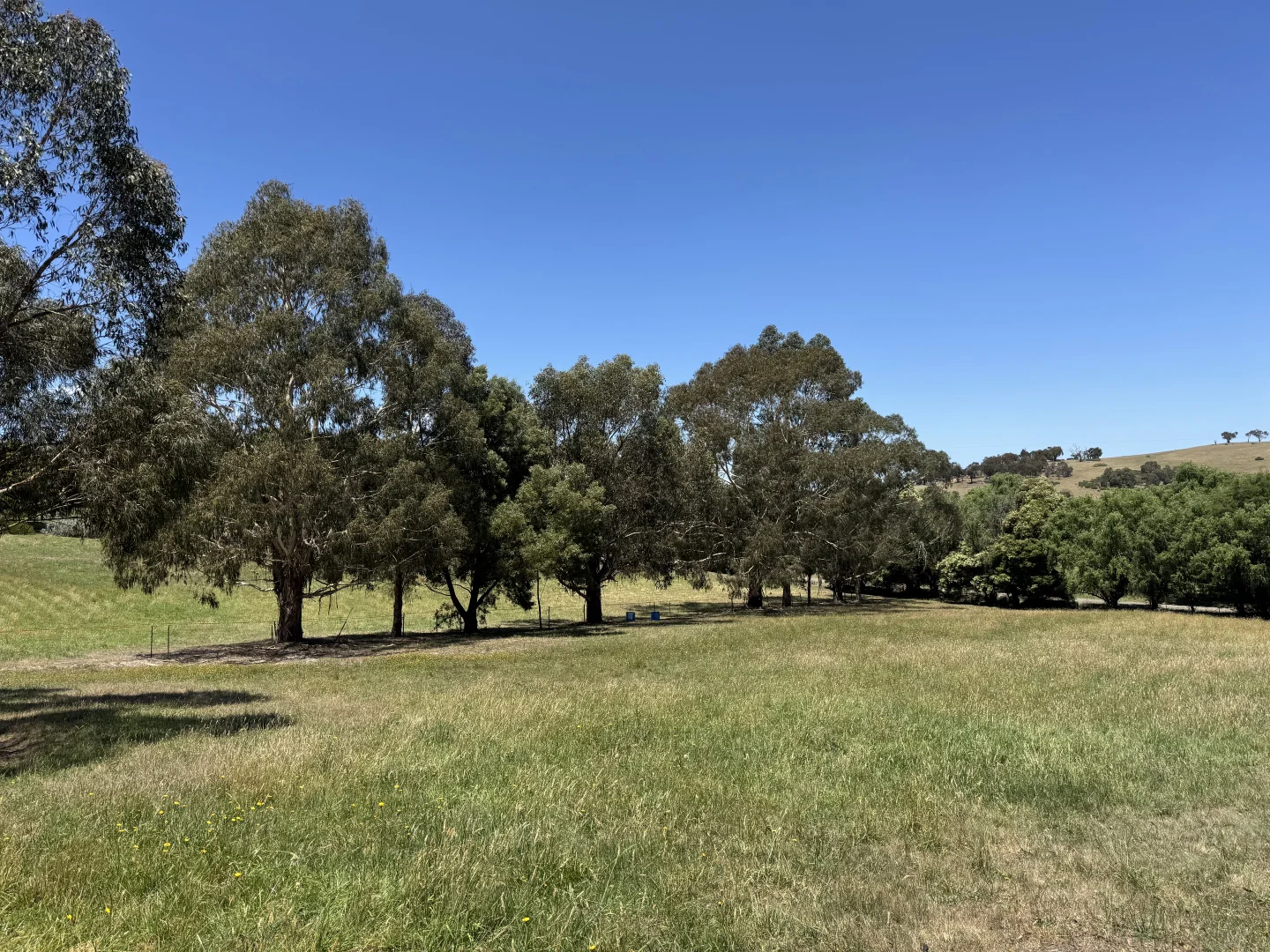 Image 31