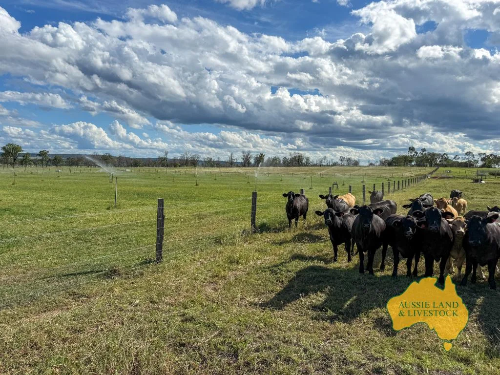 Additional image 3 of 854 MUNDUBBERA-DURONG ROAD, Boynewood QLD 4626