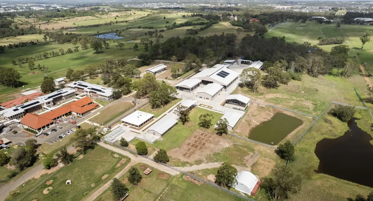 Image 25