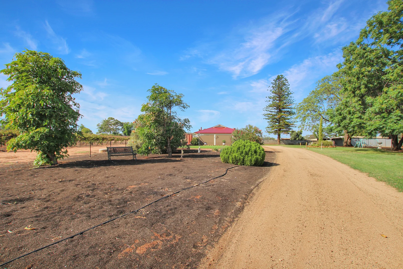 Additional image 23 of 141 Mortimer Road, Monash SA 5342