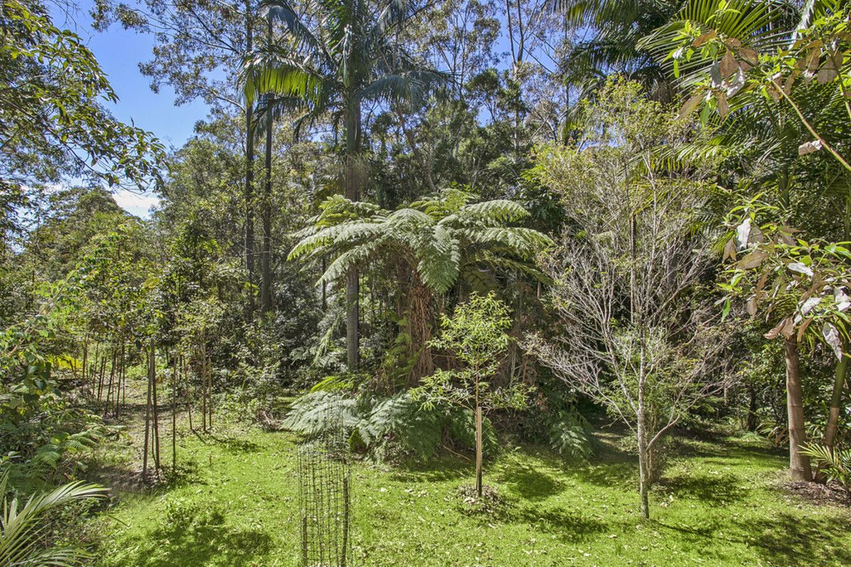 87-89 Timbarra Drive, Beechmont QLD 4211, Image 1