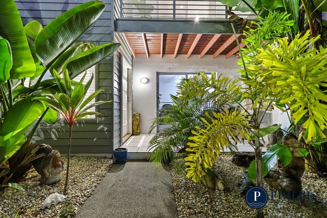 49 Sickle Avenue Hope Island 4212 - Image 4