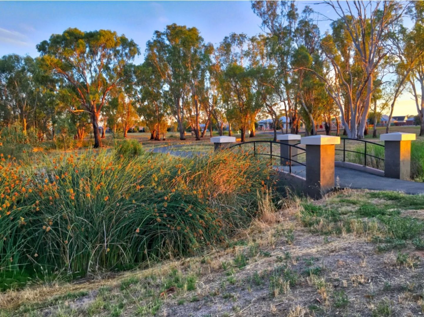 Lot 322/3 Cormorant Boulevard, Kialla VIC 3631, Image 2