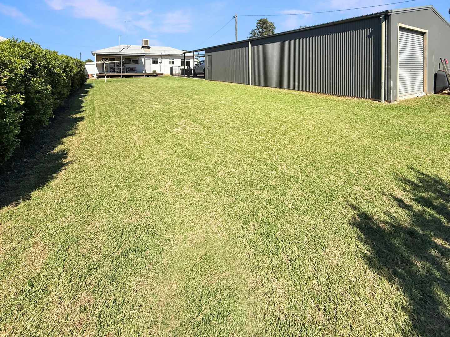 Image 10