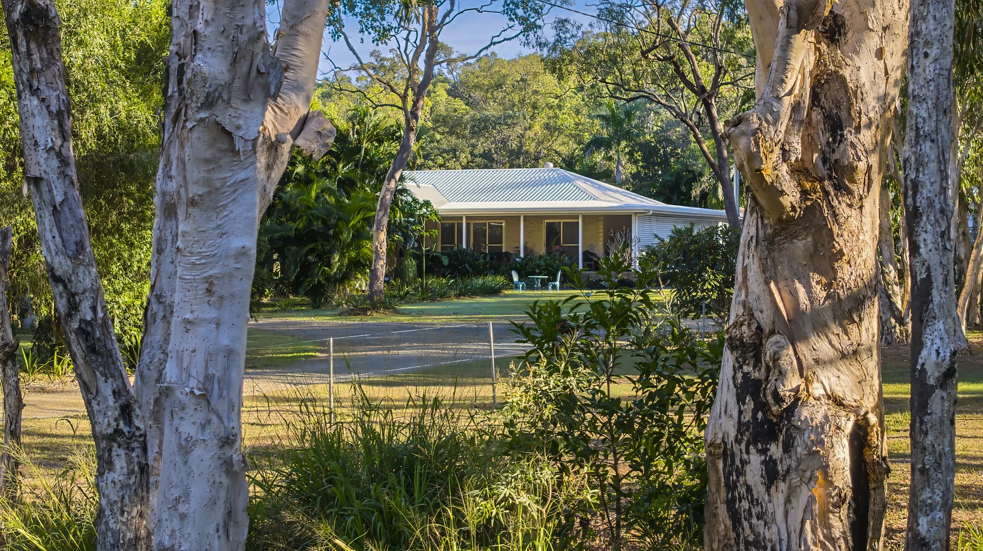 Image 29