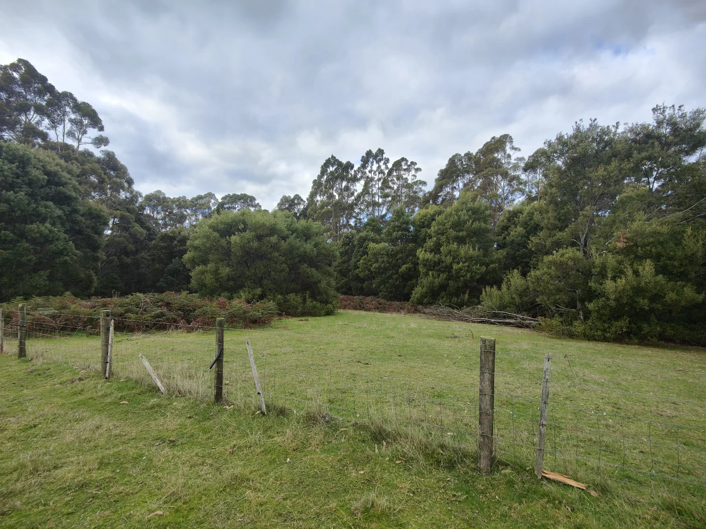 Image 12