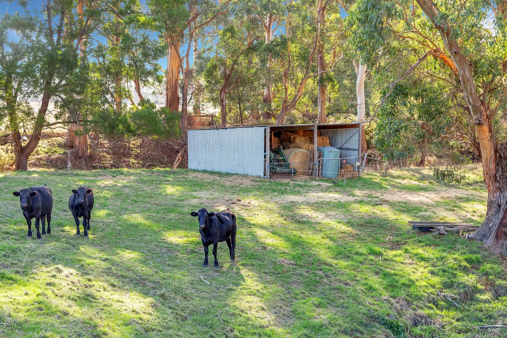 Additional image 22 of 840 Soldiers Road, Poowong VIC 3988