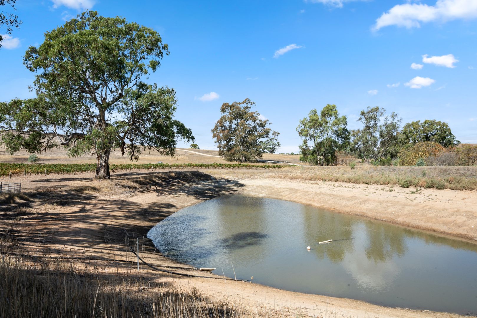 133 Rhine Park Road, Eden Valley SA 5235, Image 1